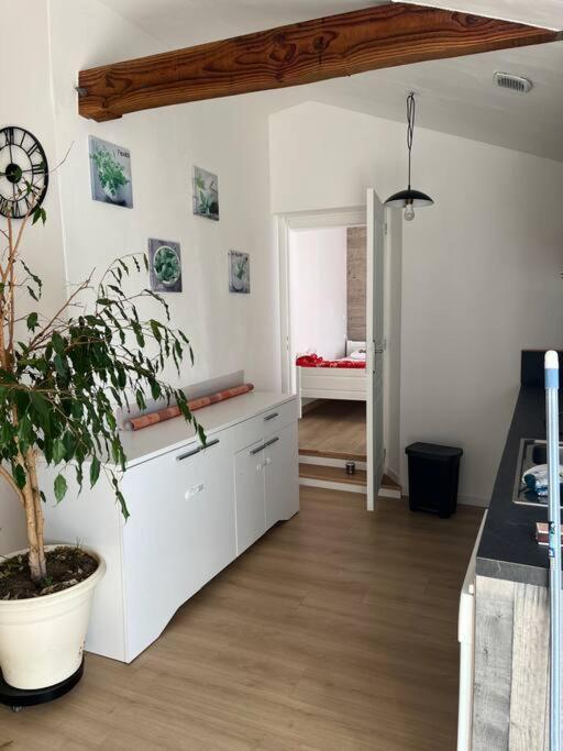 Apartment T3 Saisonnier - Frouge 46400 - Lot *